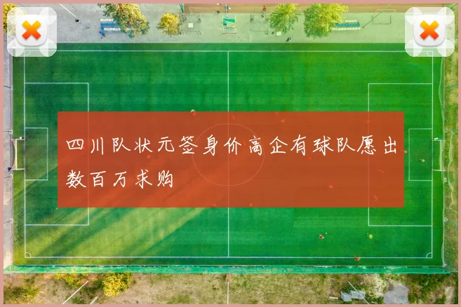 四川队状元签身价高企有球队愿出数百万求购