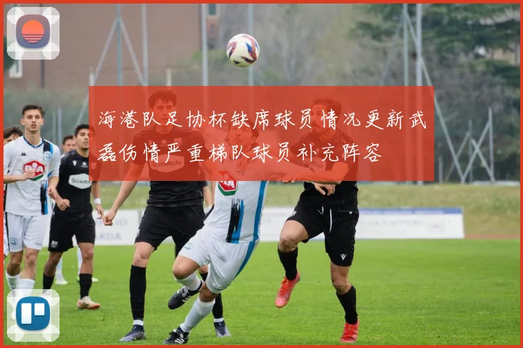 海港队足协杯缺席球员情况更新武磊伤情严重梯队球员补充阵容