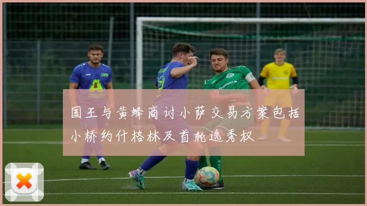 国王与黄蜂商讨小萨交易方案包括小桥约什格林及首轮选秀权